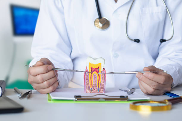 Best Emergency Broken Tooth Repair in Roanoke Rapids, NC